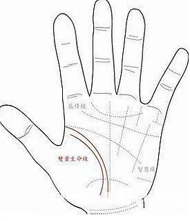 男人生命线的三大说法 男人手中的生命线如何看