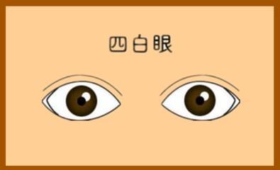 男性四白眼的面相分析 男人四白眼说明了什么