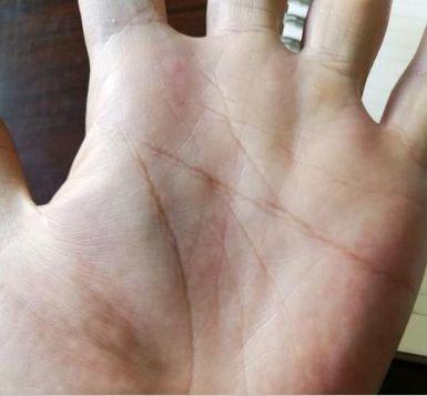 男人的四种富贵手相图解 这些手相的男人不用为钱发愁