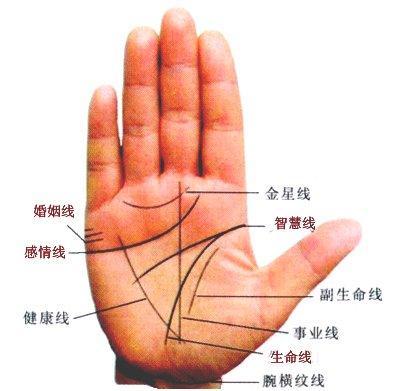 男人的生命线如何看呢 男人生命线好坏的影响