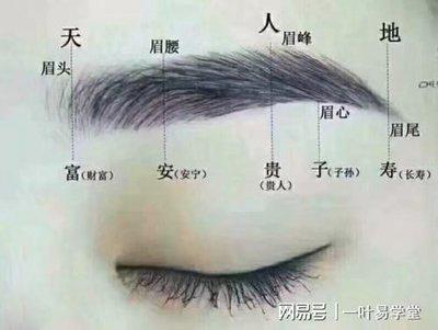 男人眉相图解 什么样眉毛的男人命好