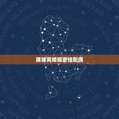 男猪配什么属相最好(猪的配偶属什么最合适男)