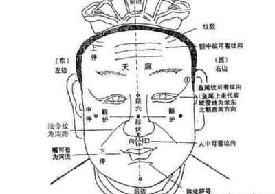 男人耳朵面相图解 男人耳朵面相怎么看