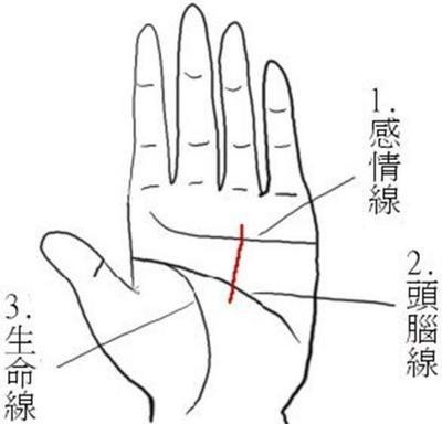 男生左手手相图解大全 男人左手手相怎么看