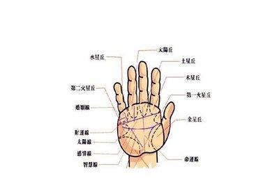 男生手相图解大全 教你通过男人手相了解运势