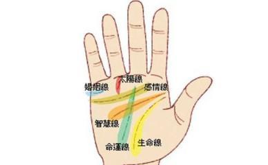 男人婚姻线图解大全 男人手中婚姻线说明什么