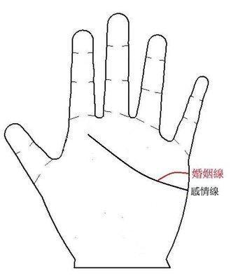 男人婚姻线图解大全 男人手中婚姻线说明什么
