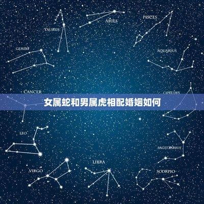 男虎和女蛇相配婚姻如何 属虎男跟属蛇女的配对好不好
