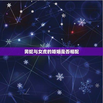 男蛇和女虎相配婚姻如何 属蛇男与属虎女结婚会幸福吗