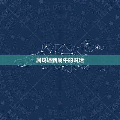 男鸡和马女财运结合好不 男属鸡女属马合适吗