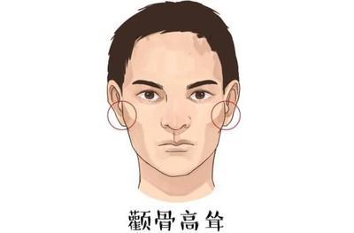 男人颧骨高面相的运势 颧骨高的男人命运怎样