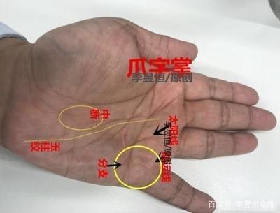 男人手掌生命线图解分析 教你通过生命线看运势好坏