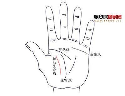 男人手掌生命线图解大全 怎么看男人手中生命线