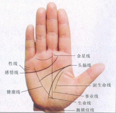 男人手掌生命线图解大全 怎么看男人手中生命线