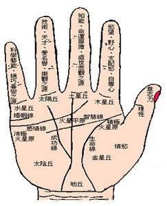 男人手相之情感详解 从男人手相看感情忠诚度
