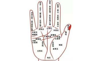 男人手相图解大全财运线 男人手中的财运线怎么看