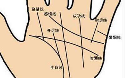 男人手相图解大全财运线 男人手中的财运线怎么看