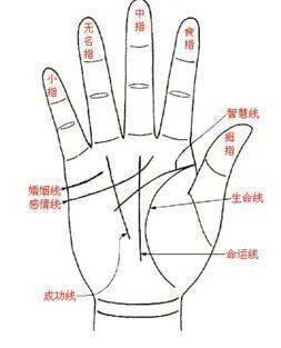 男人手相婚姻线怎么看是什么意思 男人手相婚姻线怎么看是什么意思