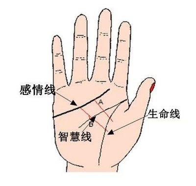 男人手相智慧线的特点与寓意 男人手中的智慧线怎么看