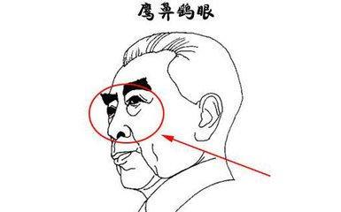 男人鼻子面相 男人鼻子面相分析命运