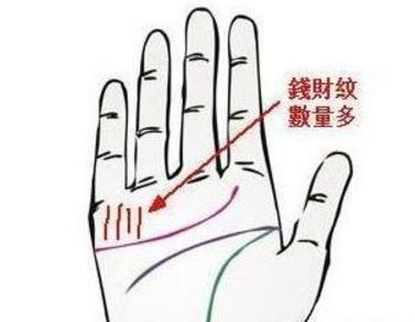 男人手相生命线图文解析一生运势走向