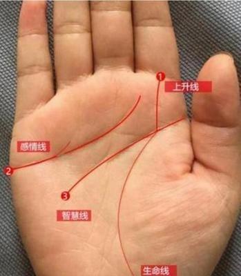男人手相生命线图文解析一生运势走向