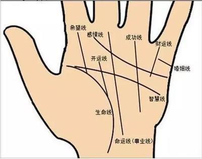 男人手相生命线图文详解 男人手中生命线如何看