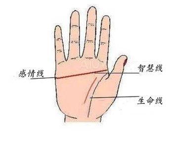 男人手相生命线图文详解 男人手中的生命线怎么看