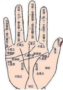 男人手相看事业 男人事业好不好看手相就知道