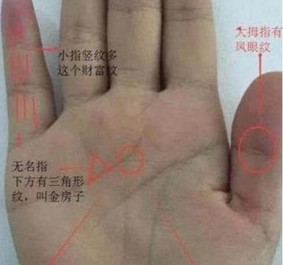 男人手相看财运 典型富贵手相与贫穷手相分析