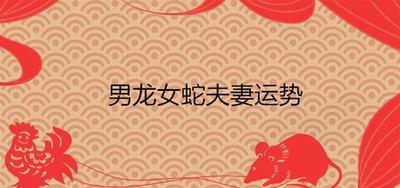 男龙女蛇夫妻运势 一起有怎样的生活