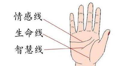 男人手纹多乱代表什么意思 手纹乱的男人命运好吗