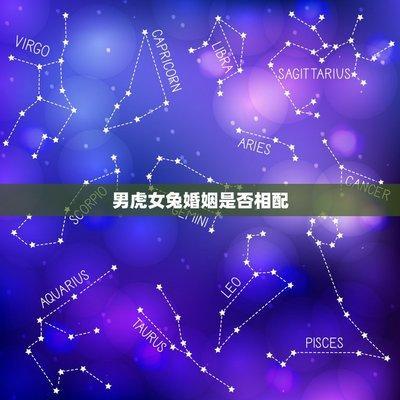 男兔女龙婚姻相配吗(男兔女兔婚姻相配吗)