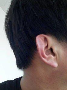 男人招风耳面相全解 长有招风耳的男人命运怎样