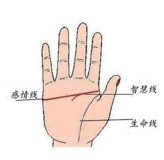 男人断掌纹的命运分析 男人手相断掌好吗