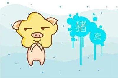 男属猪女属蛇 合适吗 在一起会长久吗