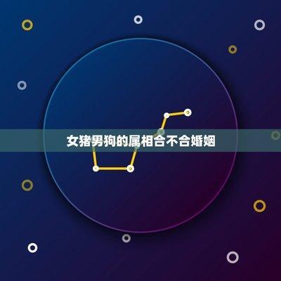 男属猪女属蛇 合适吗 在一起会长久吗
