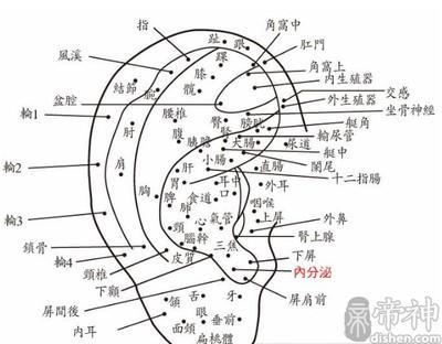 痣相解析耳朵不同部位长痣的含义 耳朵长痣好不好