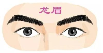 眉毛浓得人命运如何 眉毛浓的人运势怎样