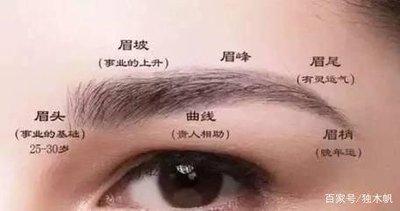 眉毛淡的男人命运好吗 什么眉毛面相的男人好