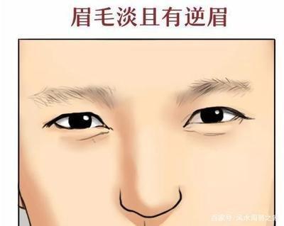 眉毛淡的男人怎么样 面相来为你分析