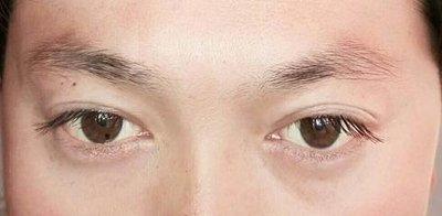 眉毛看你人品 六种眉毛的人有害人倾向