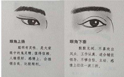 眉毛看相 哪几种眉毛面相的人命运好