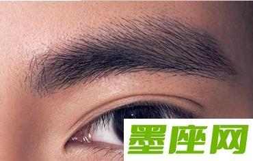 眉毛粗的男人性格和命运怎么样 男人眉毛粗怎么样