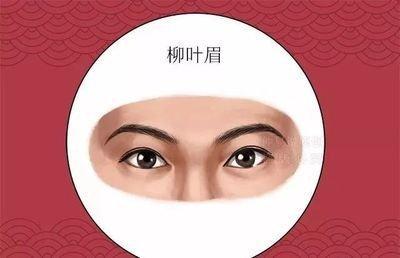 眉毛连在一起面相解读 眉毛连在一起到底是什么意思