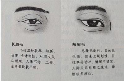 眼睛面相图解 透过眼睛看一个人性格