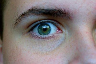 眉毛面相大全图解 眉毛面相最全分析