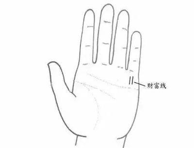 白手起家的手纹有哪些凭自己双手创造财富