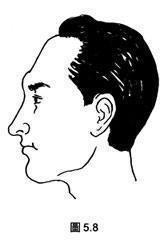 眉骨突出的女人命运如何 女人眉骨突出有什么影响