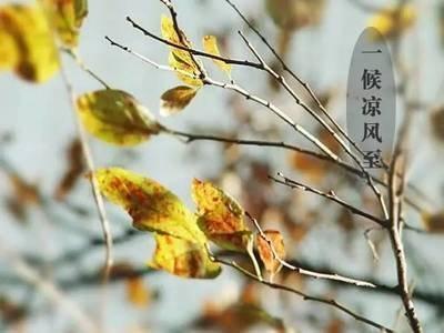 白露是什么时候白露是什么意思白露吃什么